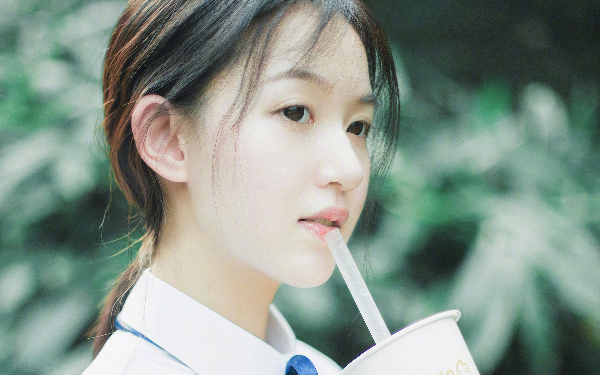 右路交响曲与战术闪电战，阿什拉夫教科书演绎，克罗地亚速胜德国启示录