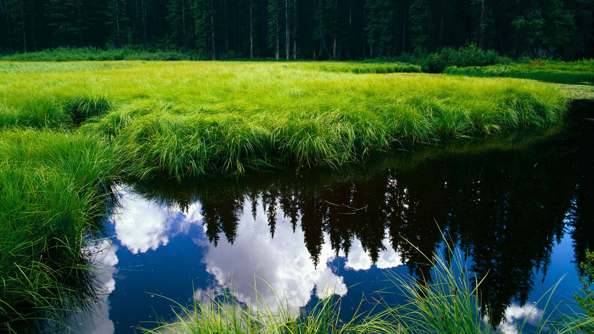 救世主穿错球衣，杜兰特客串魔术，戏剧性绝杀尼克斯