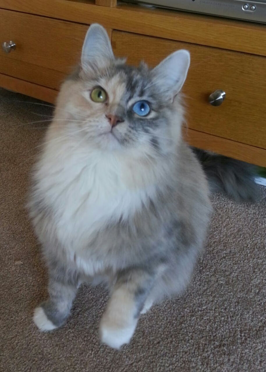 年度焦点之战，莱万指挥的绿茵交响，用九十分钟写下唯一性证明