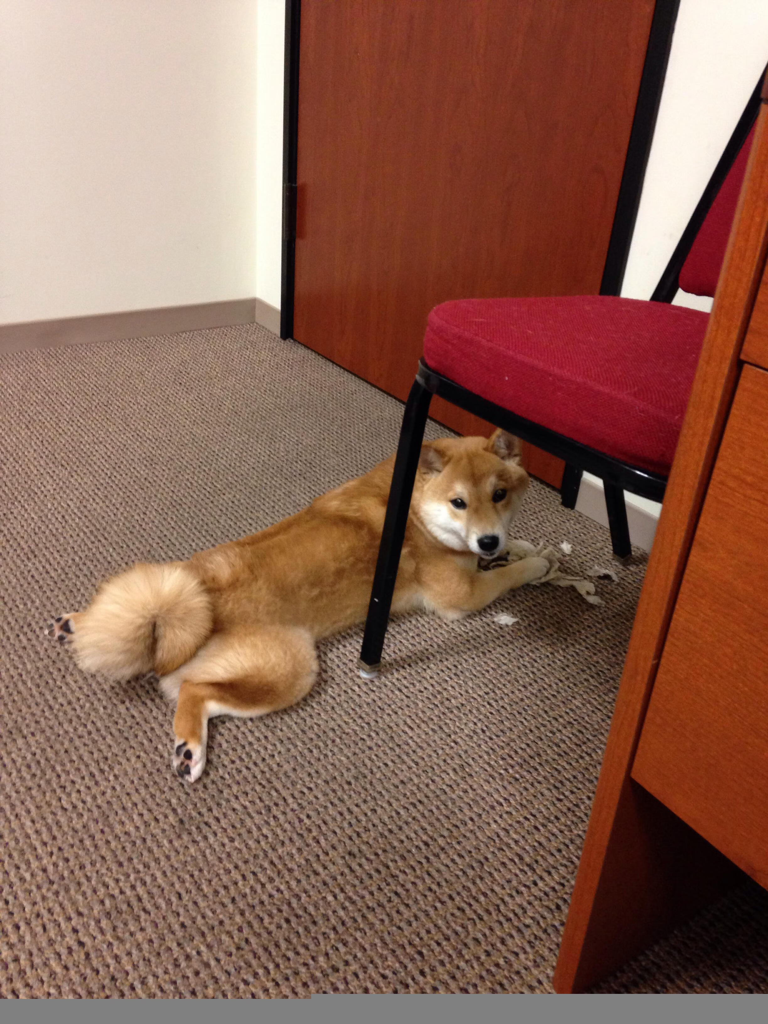 利刺与重锤，哈登持续制造杀伤，雄鹿集体冲垮凯尔特人