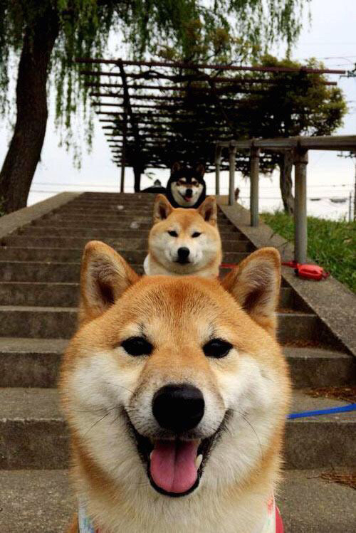 双重时空，当浙江队轻取热火，英格拉姆成了唯一的关键先生