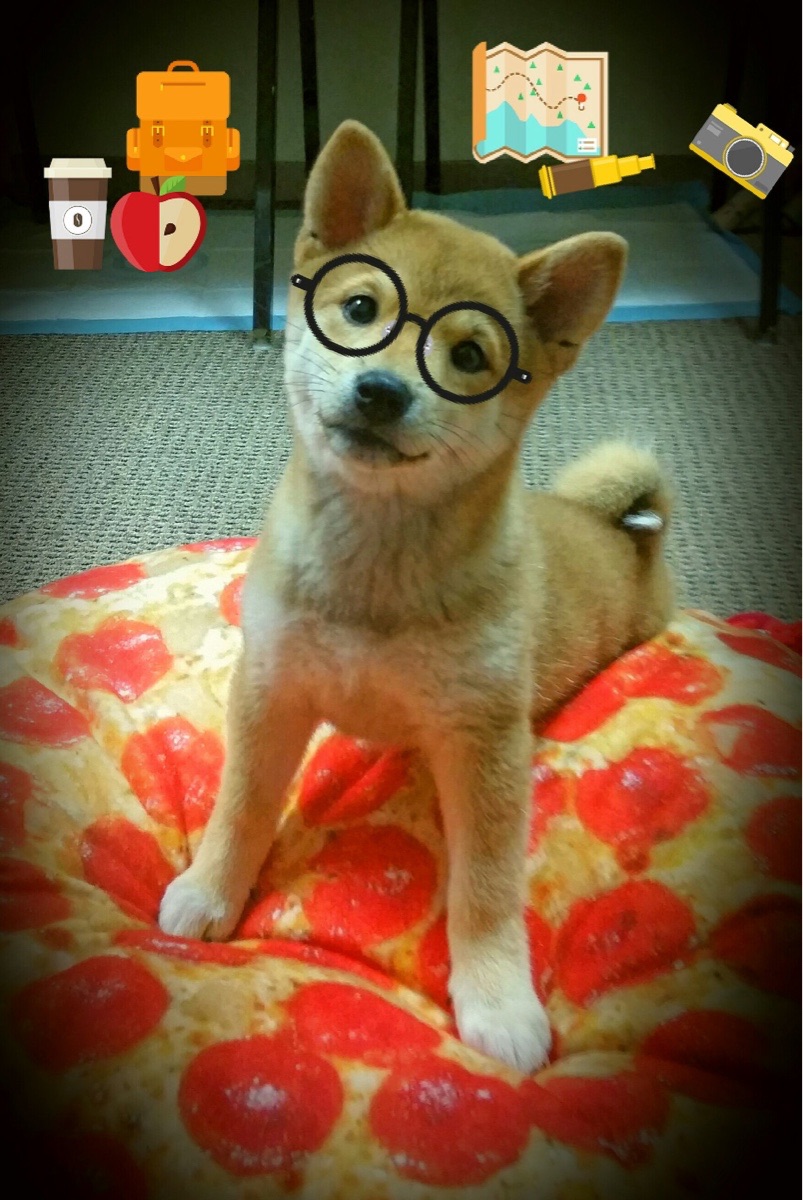 当德甲悬念已死，勒沃库森的假想敌之战，为何是那不勒斯？