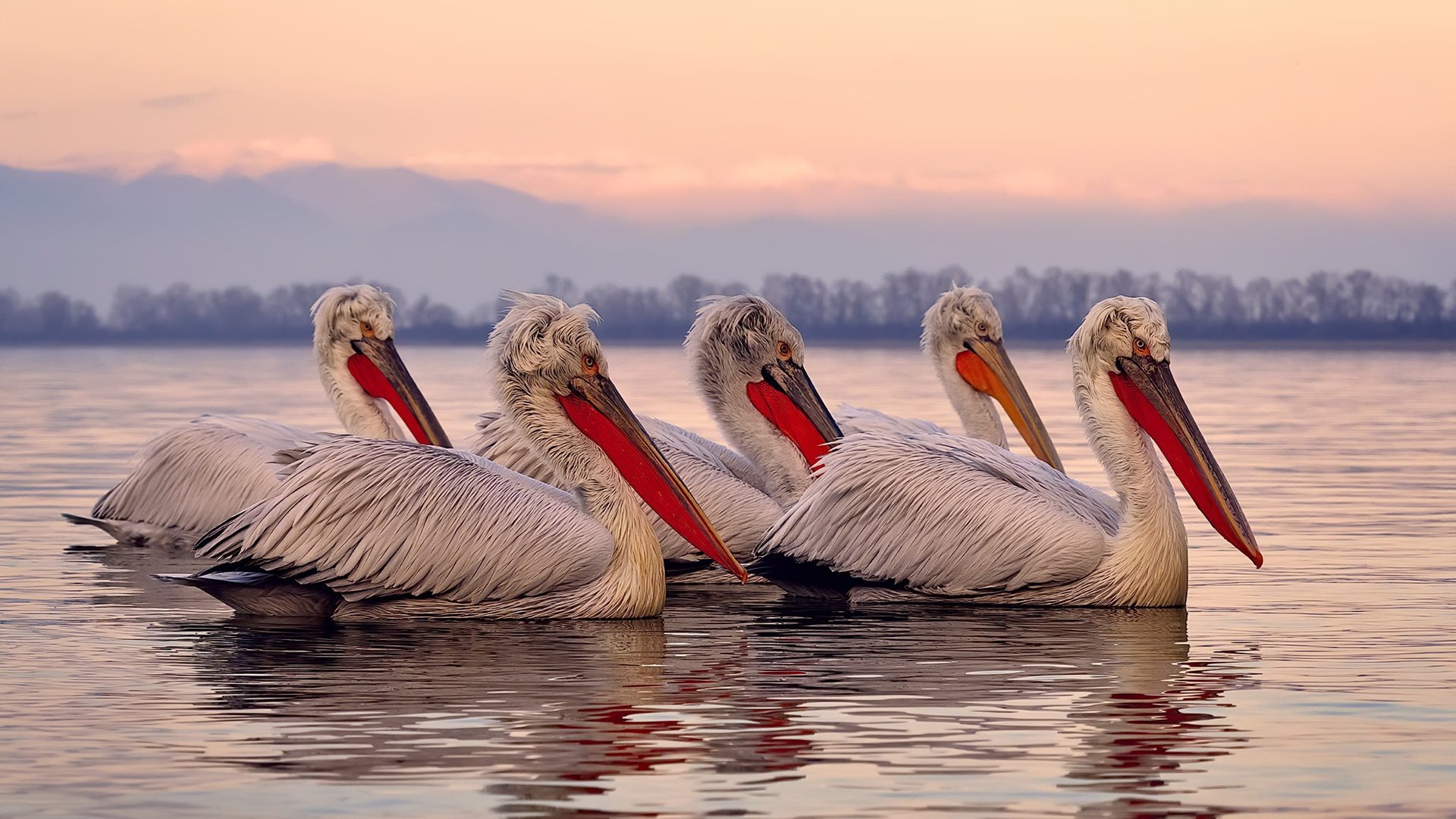 唯一之战，独行侠狂胜奇才，班凯罗关键先生闪耀