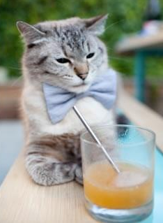 世纪碰撞，当毕尔巴鄂的钢铁洪流遇上马里雄狮，基米希在风暴眼中写下里程碑