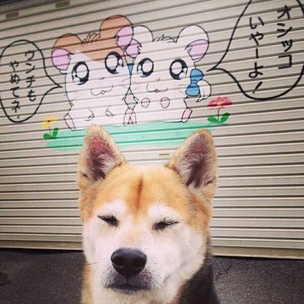 亚洲孤岛攻陷英伦堡垒，富安健洋关键一击助曼城一波带走丹麦劲旅