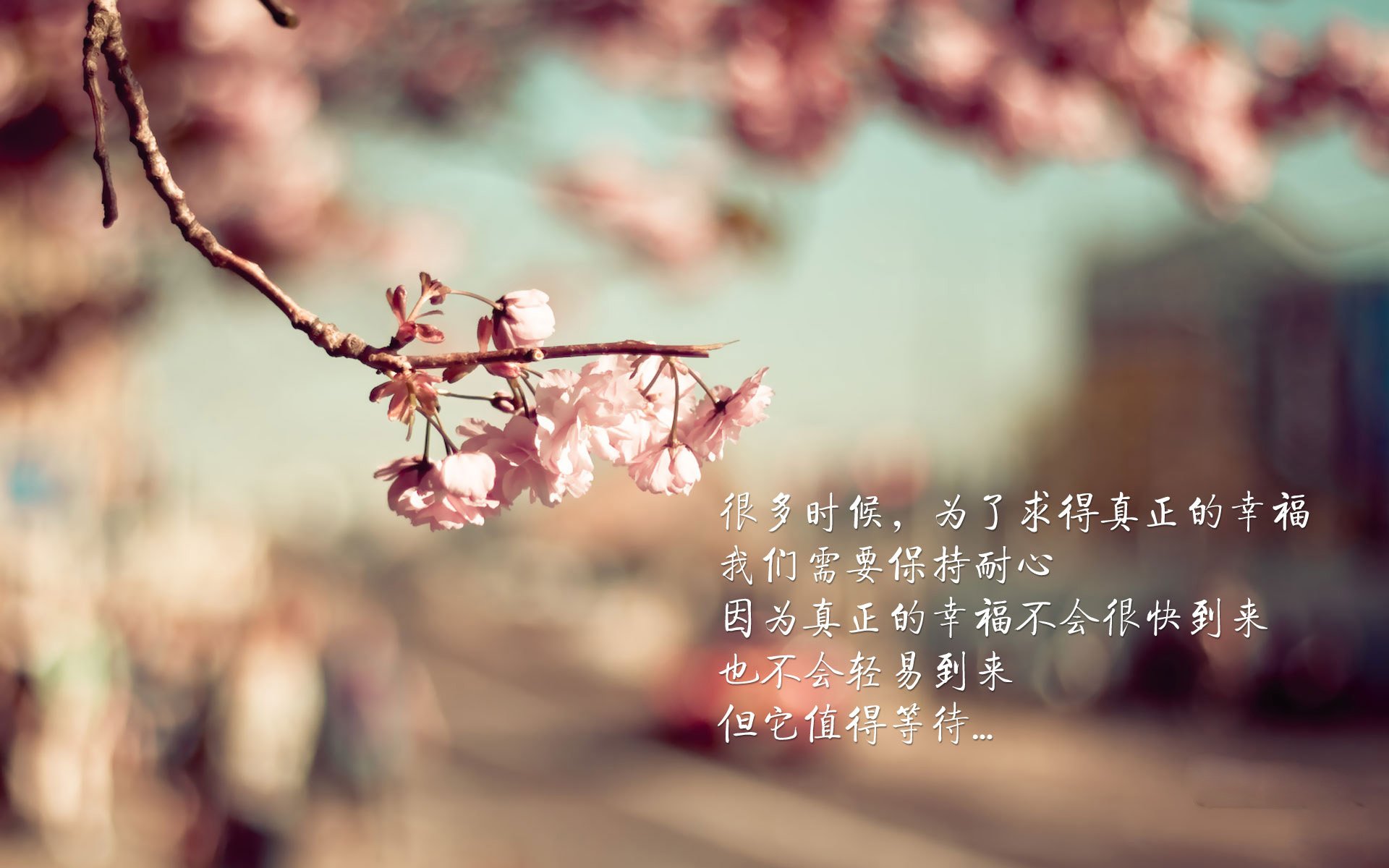 沙漠风暴碾碎寒冰纪元，2026世界杯，伊拉克三球完胜瑞士，登贝莱率队演绎攻守转换教科书