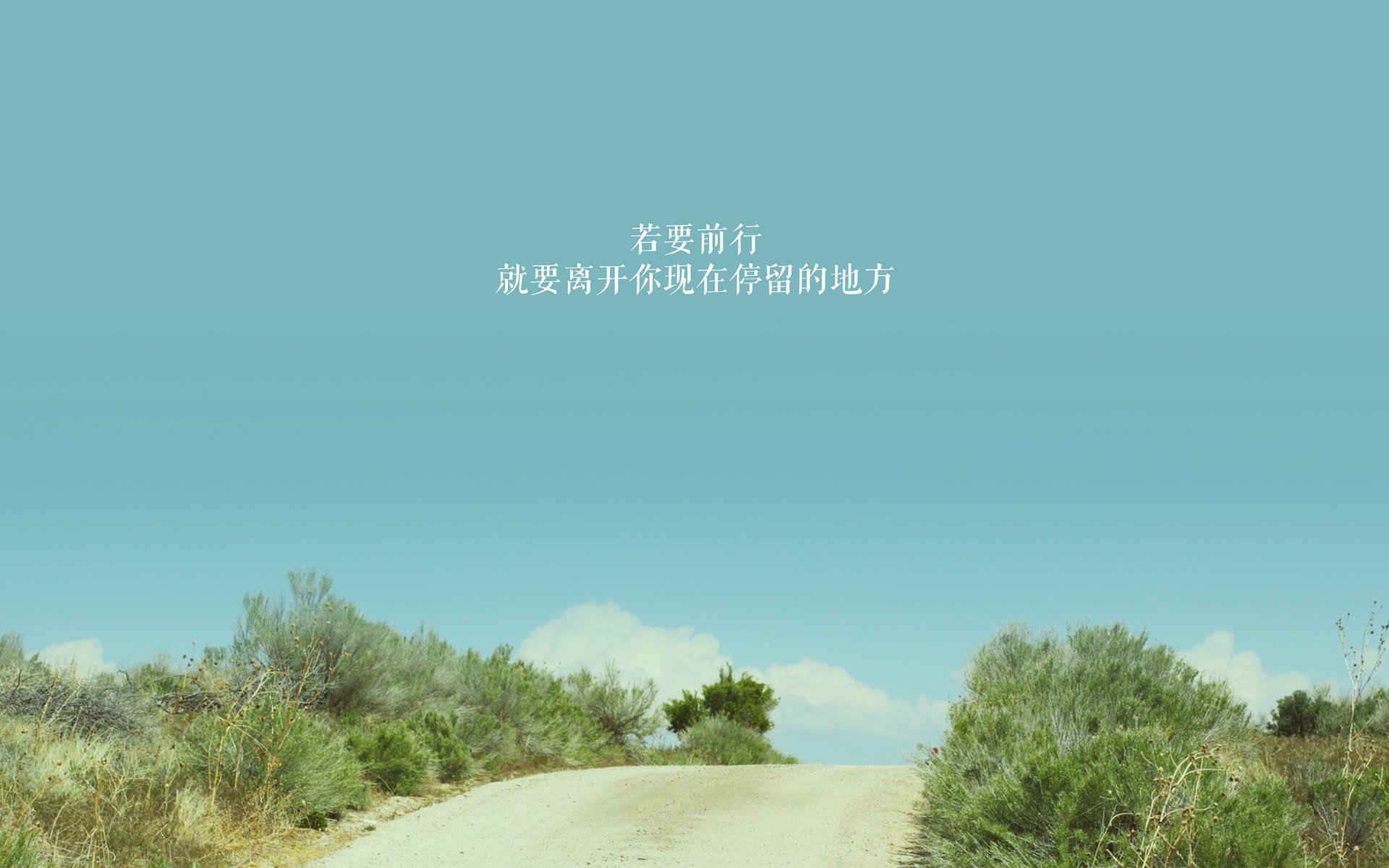 东方不亮西方亮，当亚洲袋鼠在C组撕碎德意志战车，塔雷米的天外飞仙书写唯一剧本