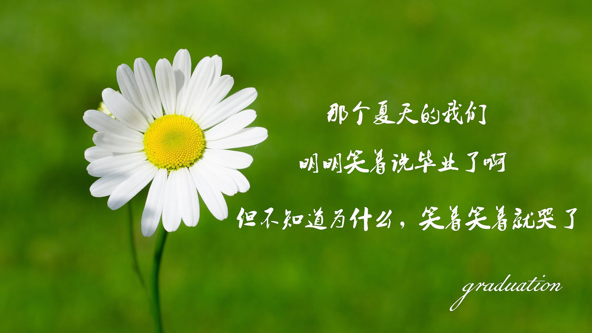 冰与火的双城记，2026世界杯揭幕战，维尼修斯在赫尔辛基的极夜中点燃桑巴烽火